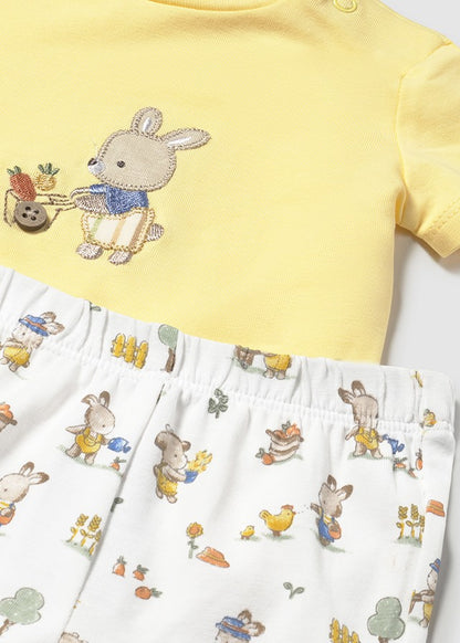 25101609 0-201-19_1.JPG