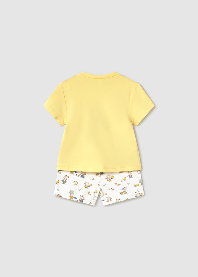 25101609 0-201-19_2.JPG