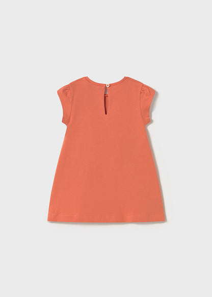 25101922 L-356-216_2.JPG