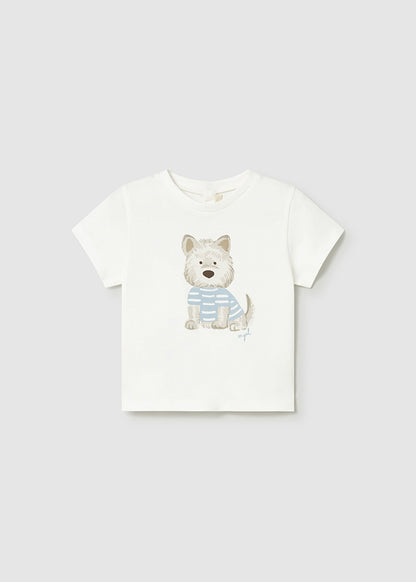 26101001-58-216_1.JPG