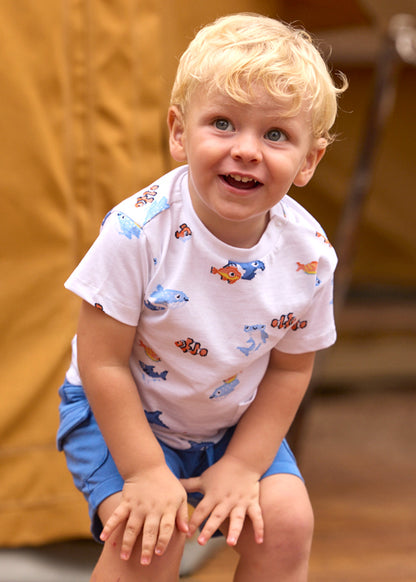 26101012-208-216_5.JPG