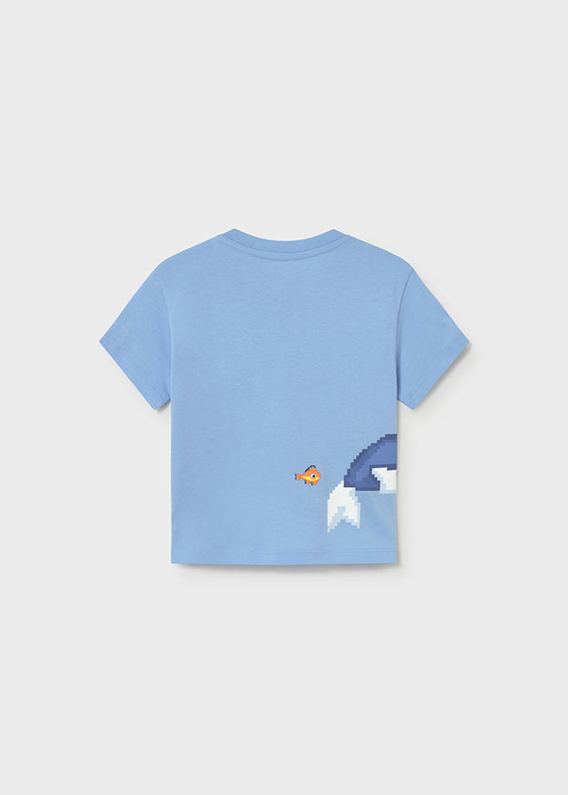 26101013 A-208-216_2.JPG
