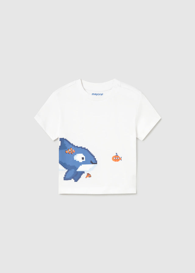 26101013 B-221-216_1.JPG