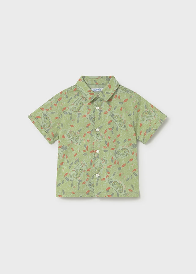 26101114 V-280-216_1.JPG