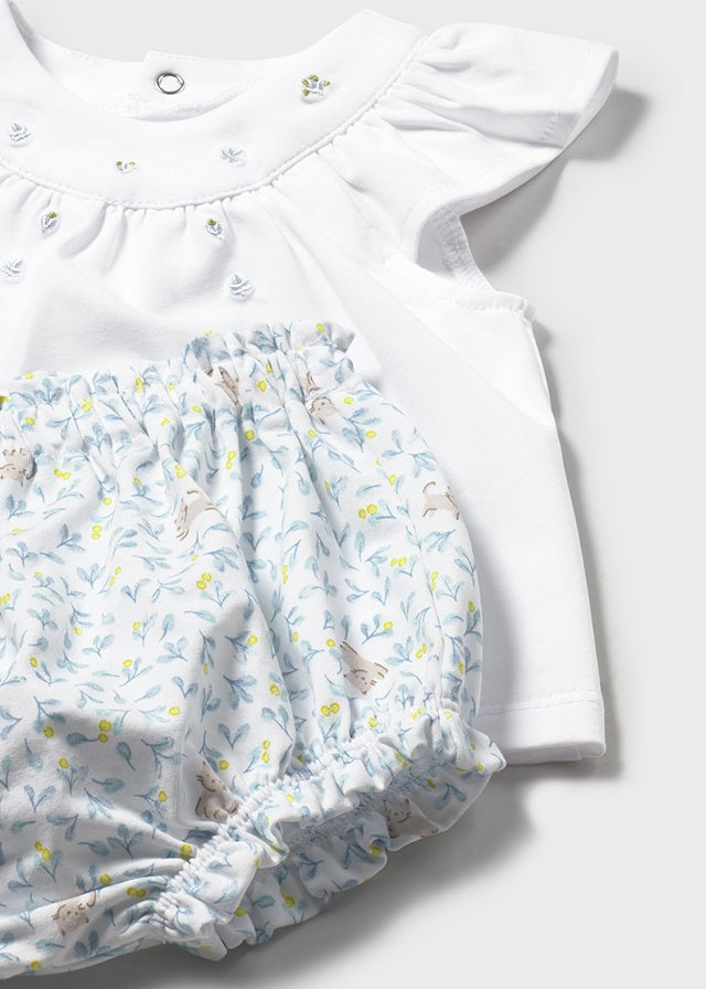 26101639 AB-74-19_1.JPG