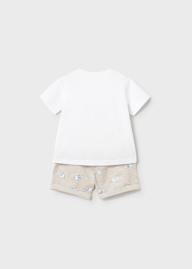 26101652 AB-74-19_2.JPG