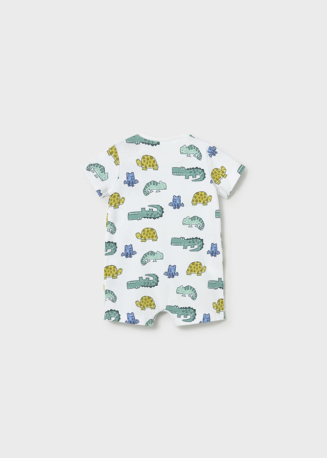 26101724 VB 910-19_1.JPG