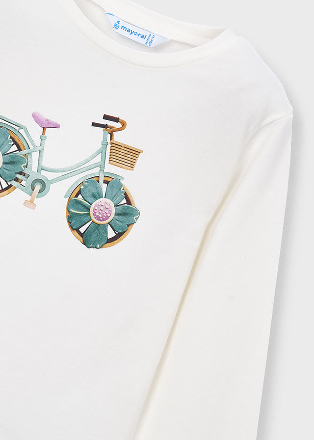 26103019 C-349-34_3.JPG
