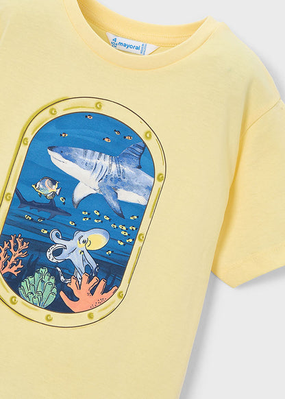 26103079-201-34_4.JPG