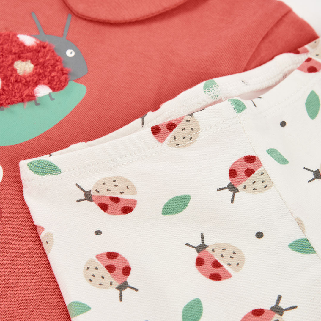 261113016-270-212_7.jpg