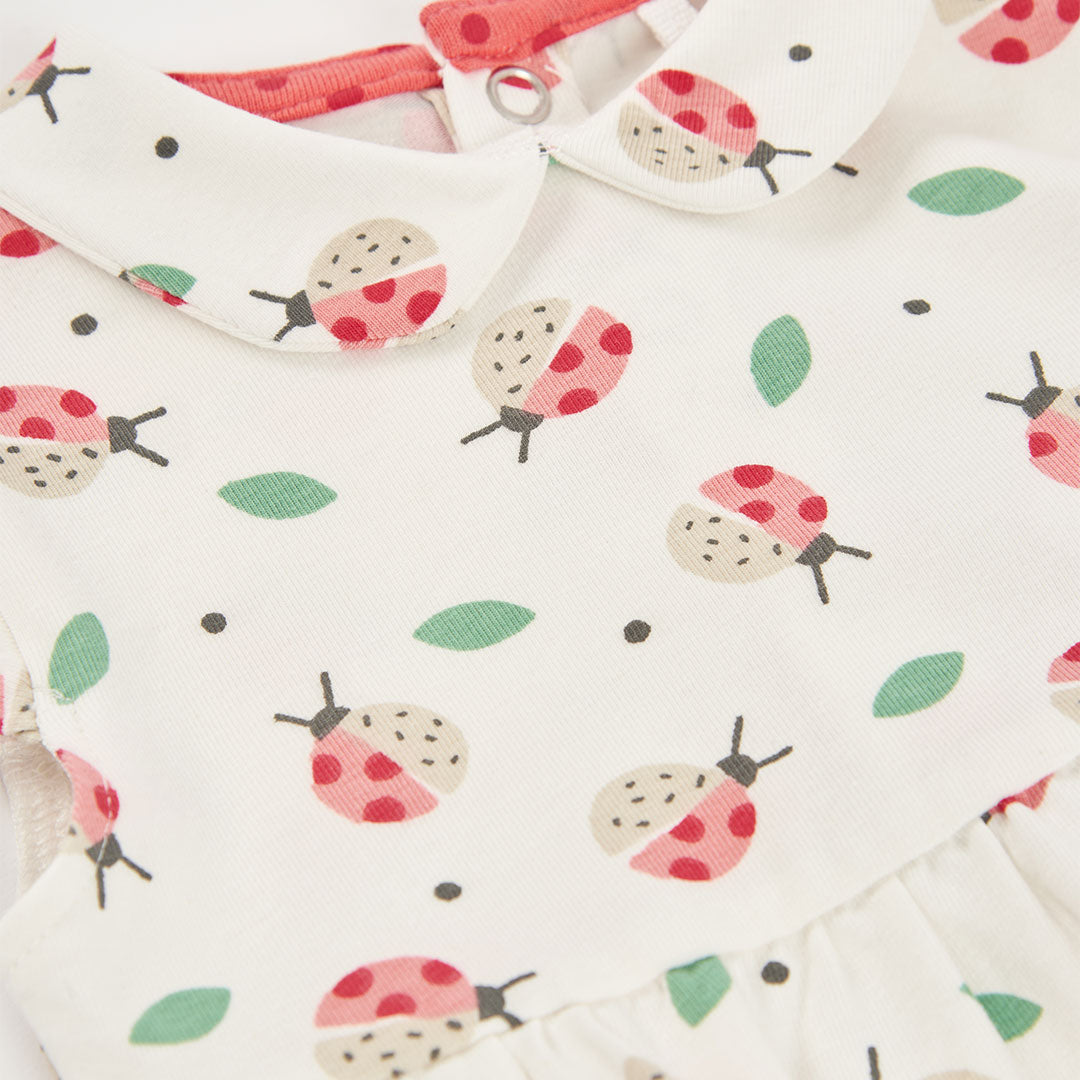 261113083-270-212_4.jpg