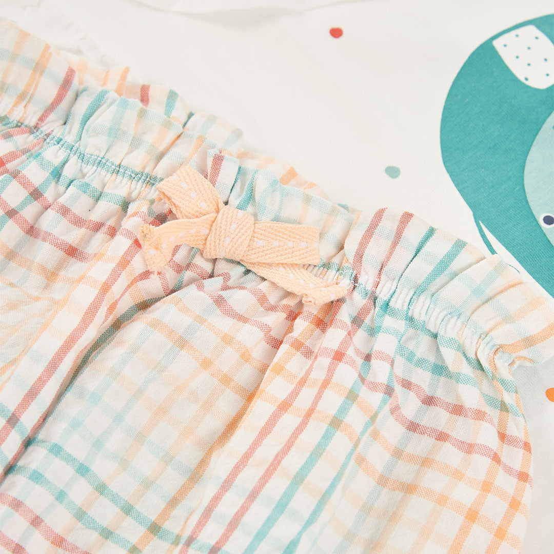 261153032-221-212_7.jpg