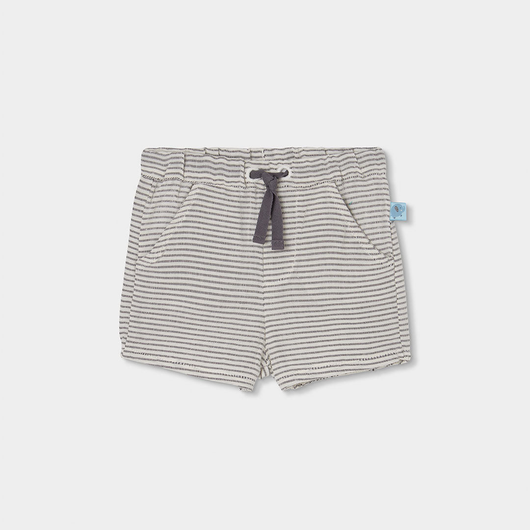 261213084-95-212_5.jpg
