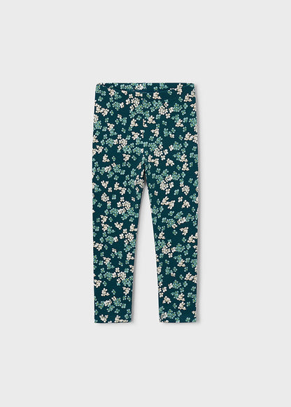 26204729-800-34_1.JPG